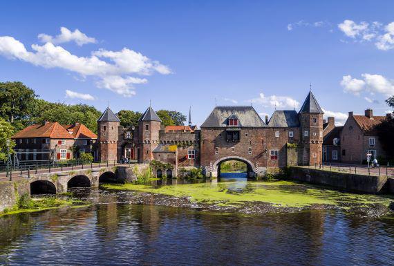 zwambestrijding-amersfoort