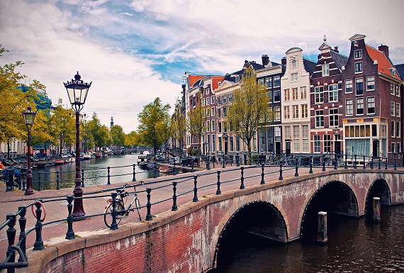 zwambestrijding-amsterdam