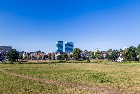 zwambestrijding-arnhem
