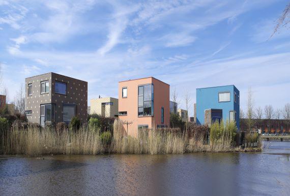 zwambestrijding-enschede