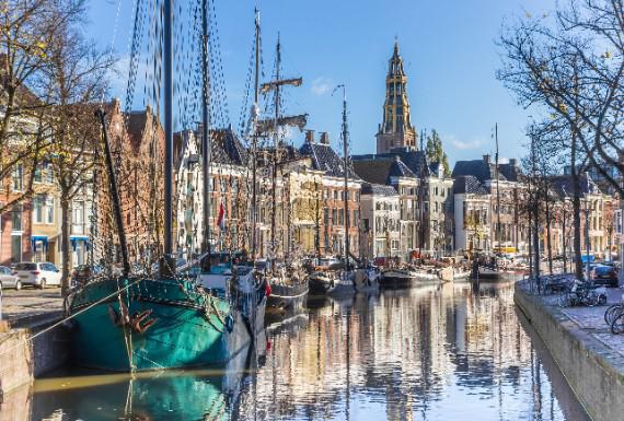 zwambestrijding-groningen