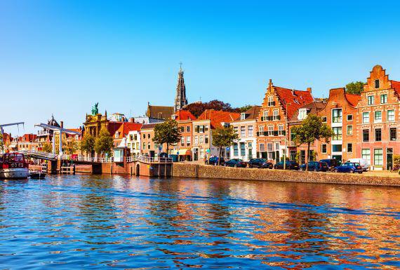 zwambestrijding-haarlem