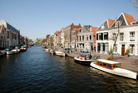 zwambestrijding-leiden