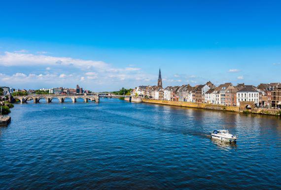 zwambestrijding-maastricht