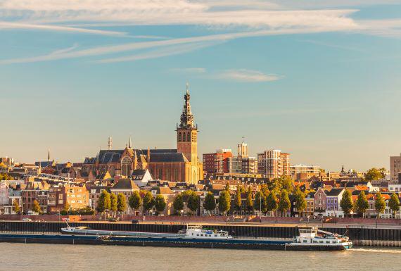 zwambestrijding-nijmegen