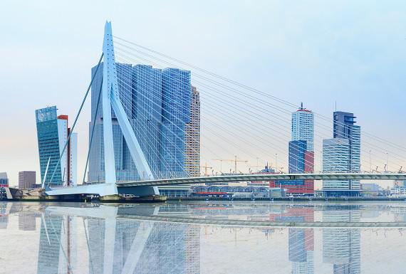 zwambestrijding-rotterdam