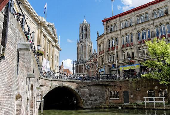 zwambestrijding-utrecht