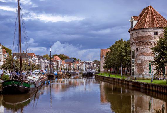 zwambestrijding-zwolle
